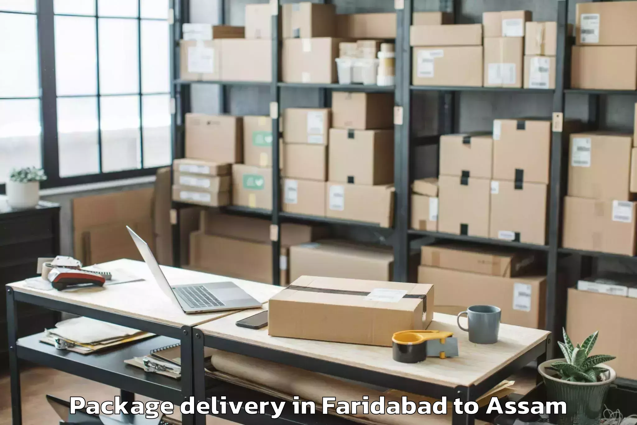 Hassle-Free Faridabad to Jamugurihat Package Delivery